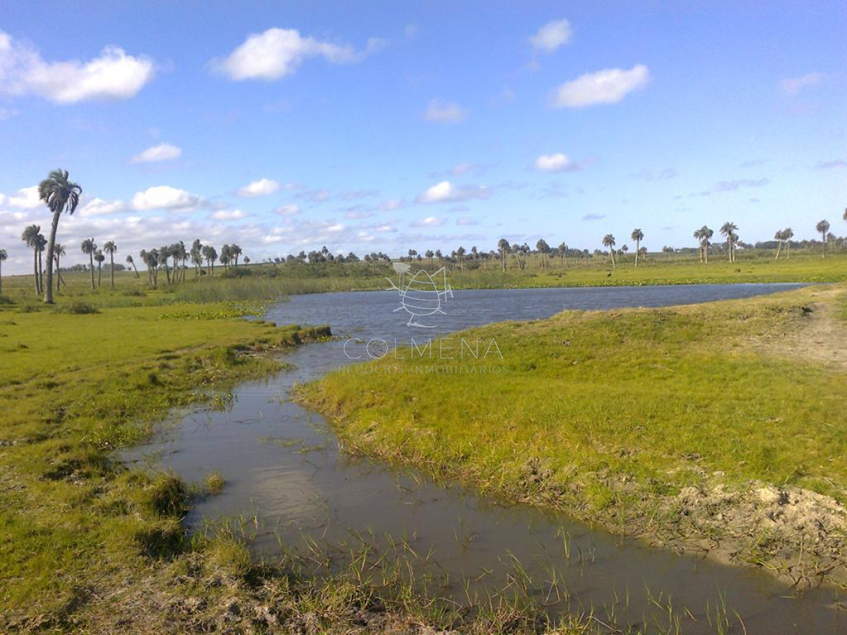 Campo en Paraje Aguas Dulces