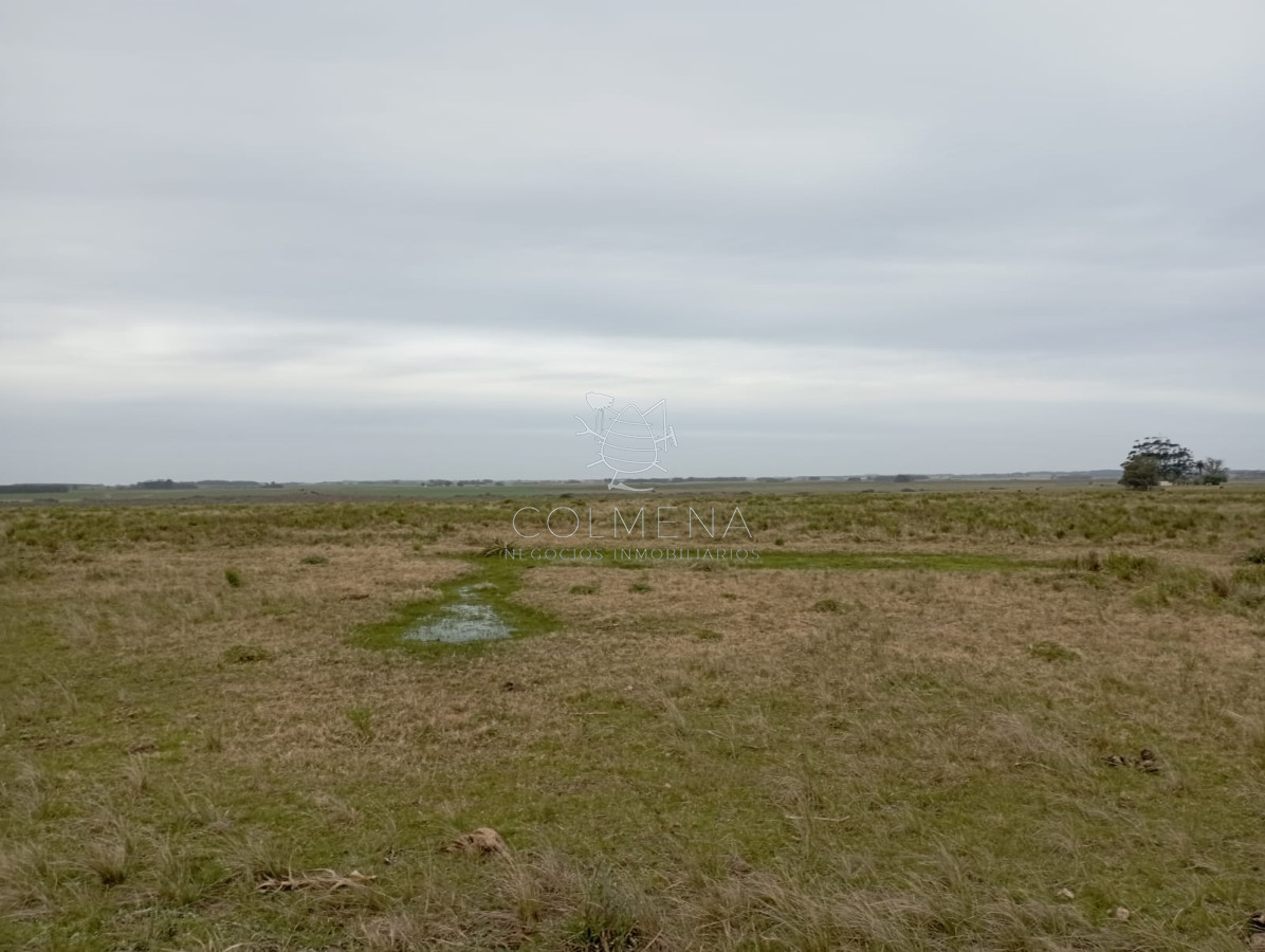 Campo de en Garzon entre limite de Maldonado y Rocha - GoPunta - Portal Inmobiliario de Punta del Este - Maldonado