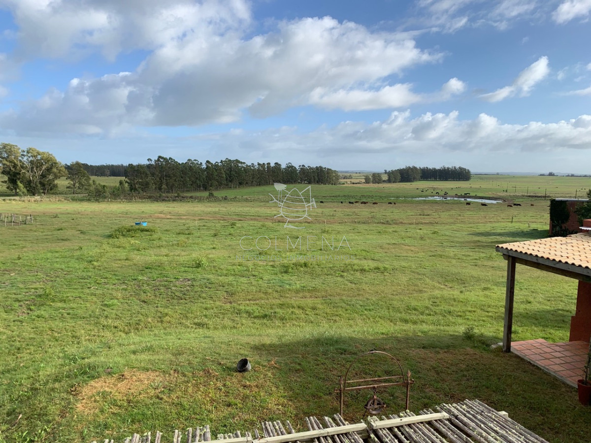 Campo excelente ubicacción,  ideal plantar o para fraccionamiento. - GoPunta - Portal Inmobiliario de Punta del Este - Maldonado
