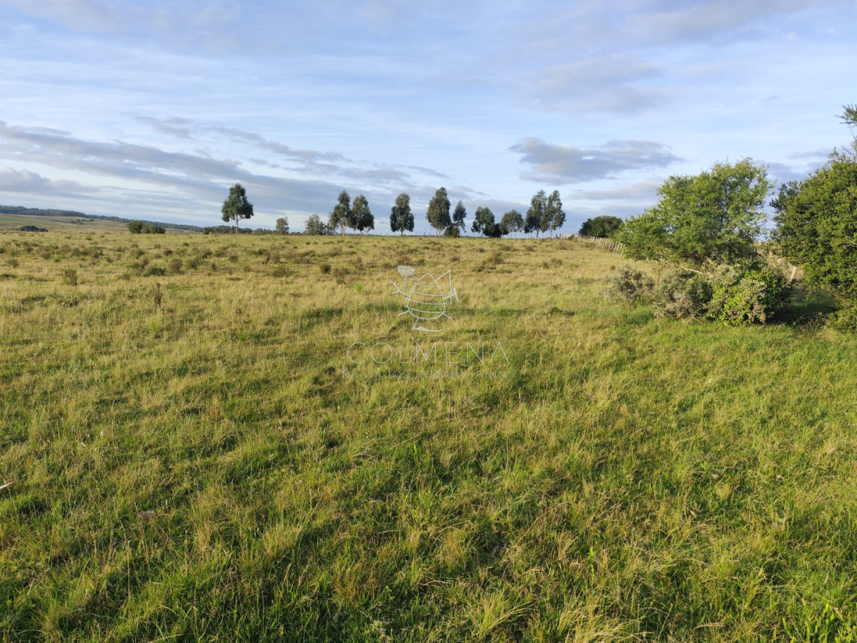 Campo de 22 has 3402 en Garzón - COL11236P