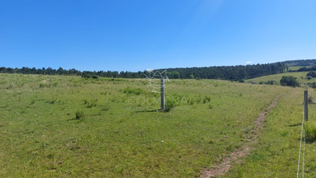 Campo en Aiguá, - GoPunta - Portal Inmobiliario de Punta del Este - Maldonado
