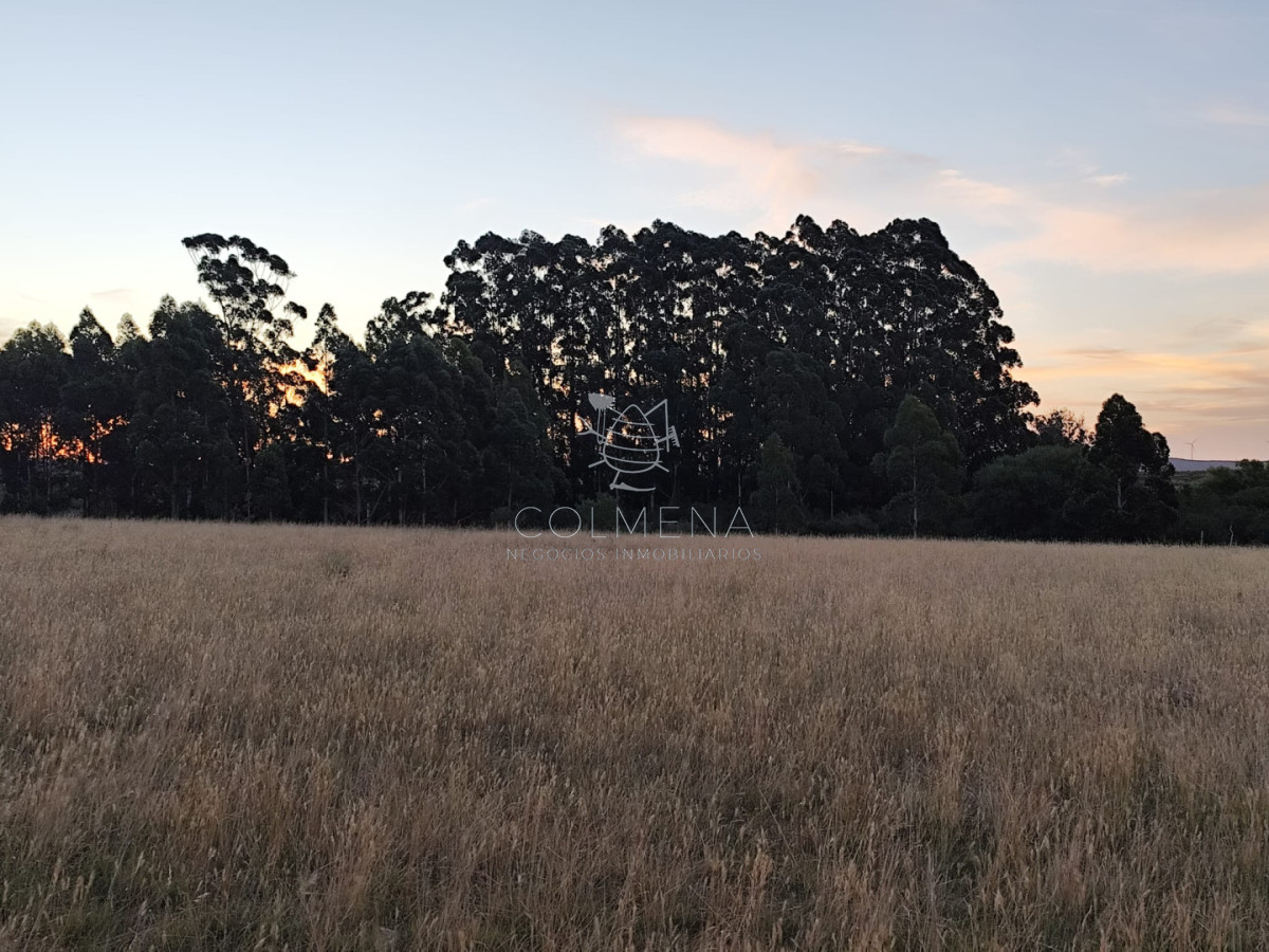 Campo de 30 has en Paso de Dutra  - COL10522P