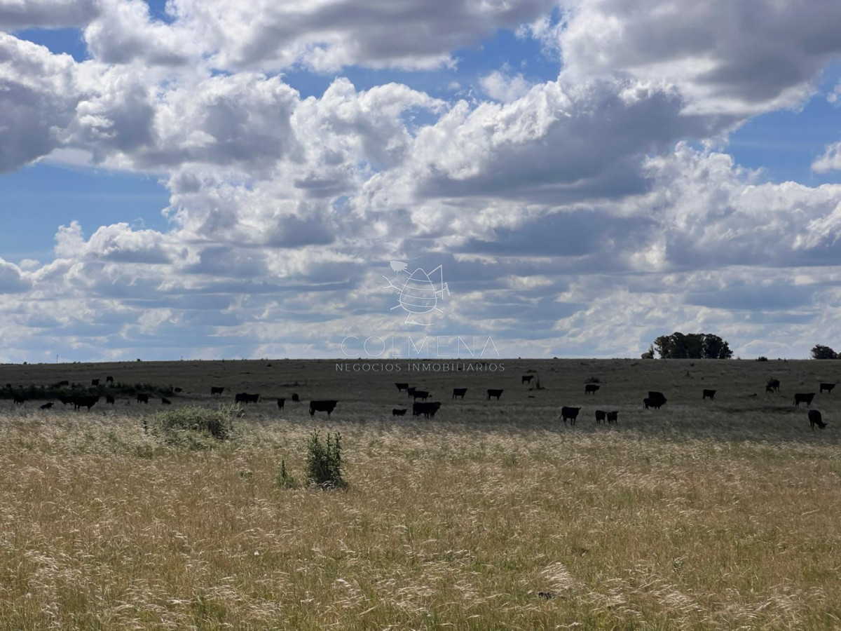 Campo en Salto  - COL11147P