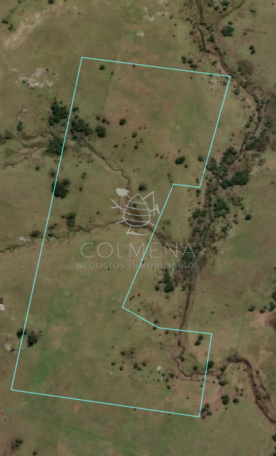 Campo cerca ruta 39
