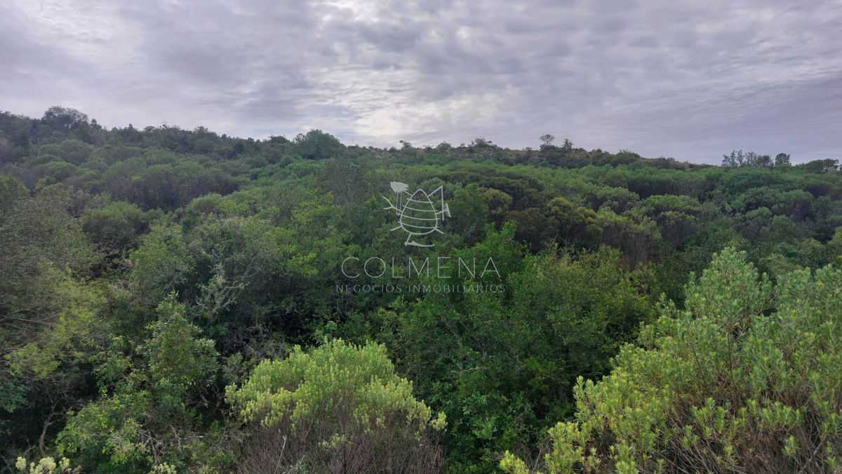 Campo de 19 hás en Las Cañas - GoPunta - Portal Inmobiliario de Punta del Este - Maldonado
