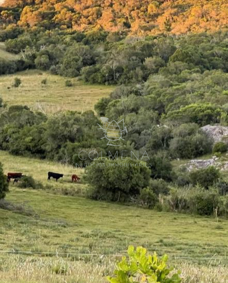 Campo en Pueblo Eden con buena casa y se trabaja ganado. - GoPunta - Portal Inmobiliario de Punta del Este - Maldonado