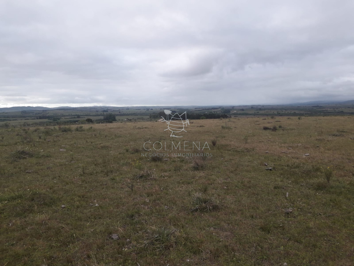 Campo de 47 has en Paraje los Caracoles   Consulte !!!!! - GoPunta - Portal Inmobiliario de Punta del Este - Maldonado