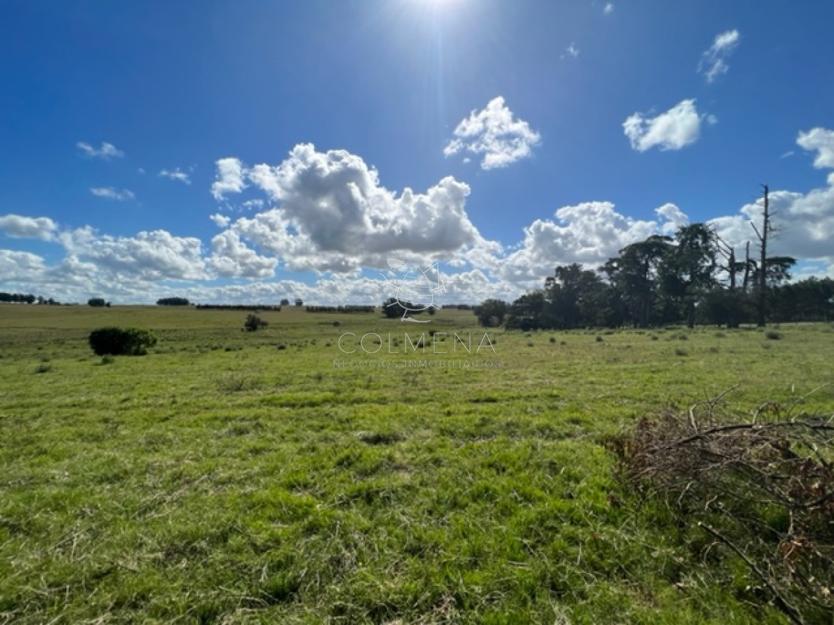 Campo 5 has con 2473 m2 sobre ruta 9 - GoPunta - Portal Inmobiliario de Punta del Este - Maldonado