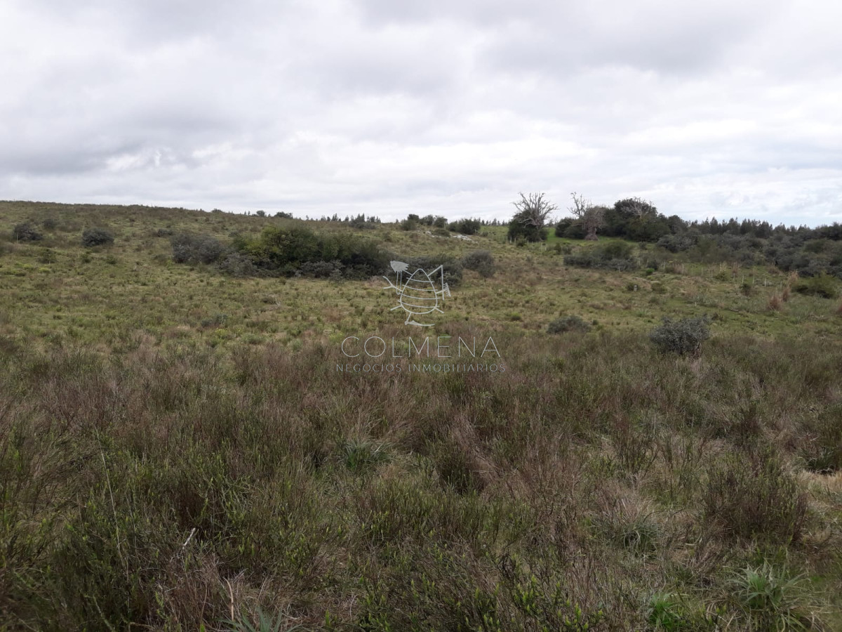 Campo de 21 has con 6010 m2 en paraje Jose Ignacio - GoPunta - Portal Inmobiliario de Punta del Este - Maldonado