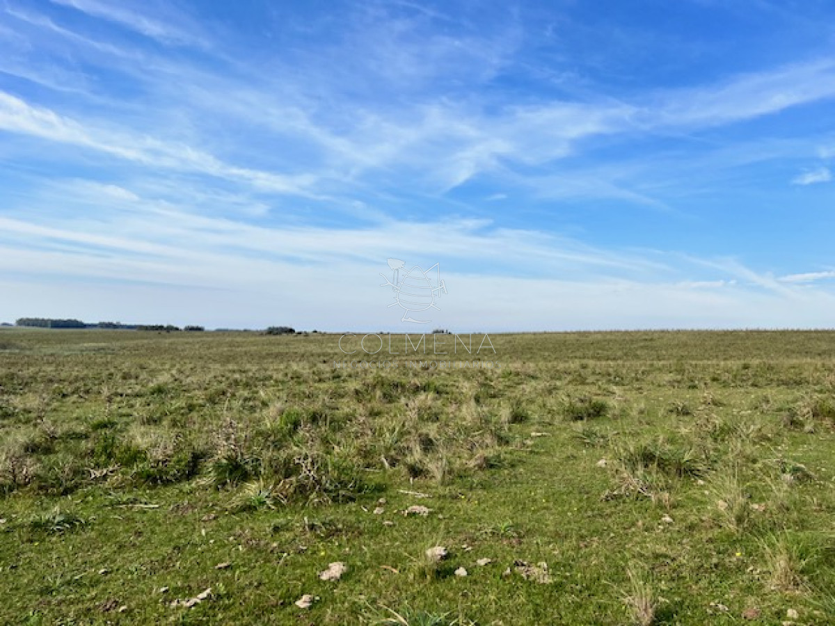 Campo en Jose Ignacio   ideal para fraccionamiento - GoPunta - Portal Inmobiliario de Punta del Este - Maldonado
