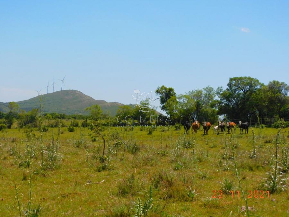 Campo 27 has en los Caracoles - GoPunta - Portal Inmobiliario de Punta del Este - Maldonado