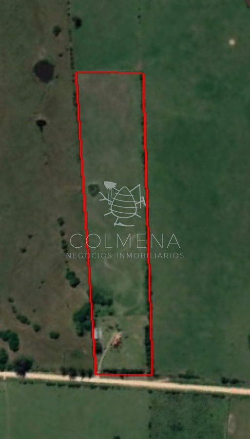 Campo 5 has con linda casa a 25 km de Punta del Este Consulte !!!!!!! - GoPunta - Portal Inmobiliario de Punta del Este - Maldonado