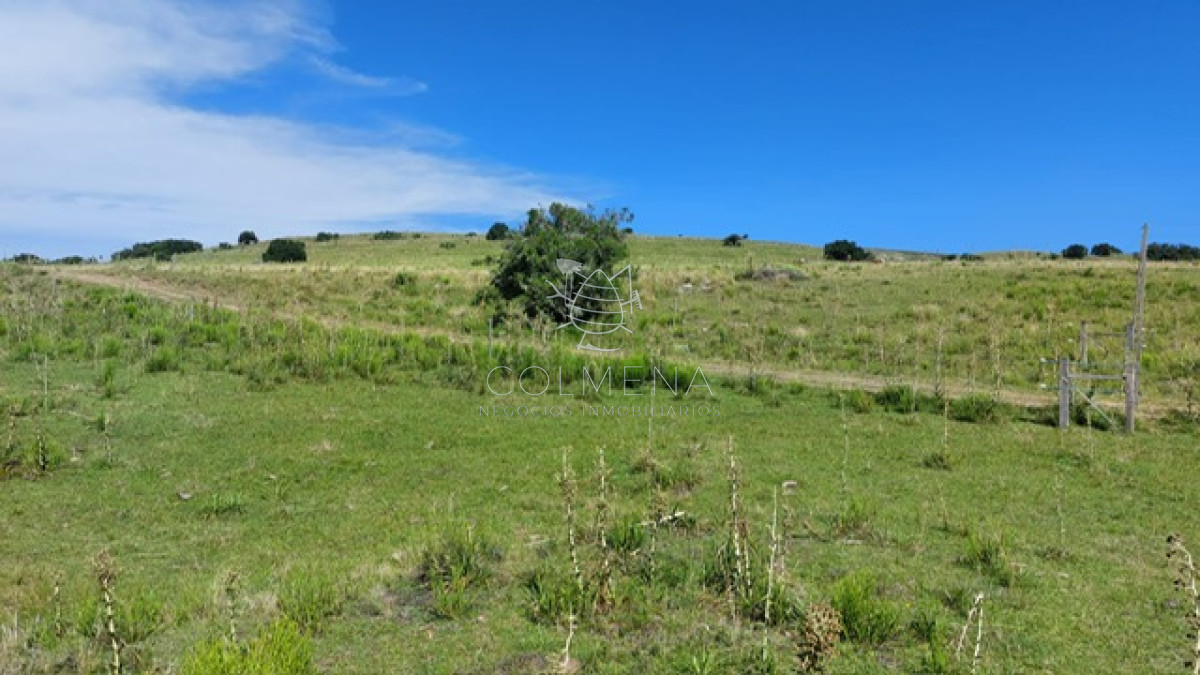 Campo en Aiguá, - GoPunta - Portal Inmobiliario de Punta del Este - Maldonado