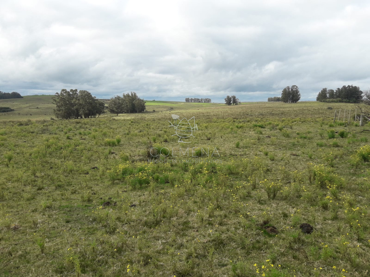 Campo de 21 has con 6010 m2 en paraje Jose Ignacio - GoPunta - Portal Inmobiliario de Punta del Este - Maldonado