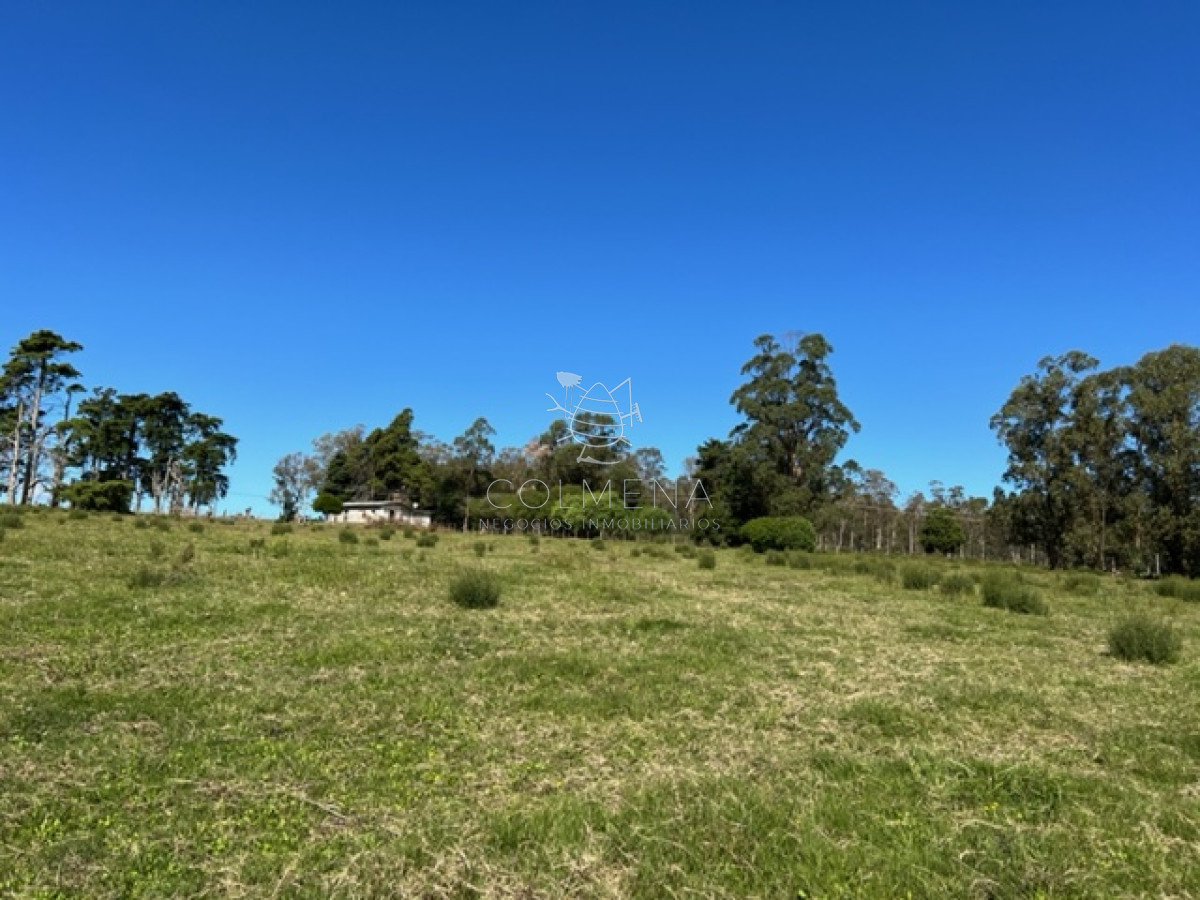 Campo 5 has con 2473 m2 sobre ruta 9 - GoPunta - Portal Inmobiliario de Punta del Este - Maldonado