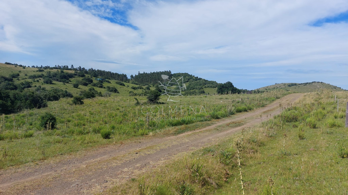 Campo en Aiguá, - GoPunta - Portal Inmobiliario de Punta del Este - Maldonado
