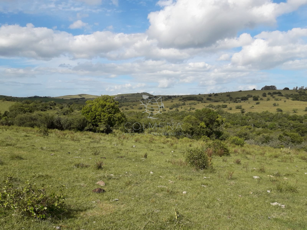 Campo cerca de Pueblo Eden   Consulte !!!!!!! - GoPunta - Portal Inmobiliario de Punta del Este - Maldonado