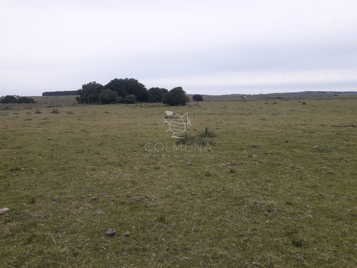 Campo a 5 km de pueblo Garzon   Coneat 106 - GoPunta - Portal Inmobiliario de Punta del Este - Maldonado
