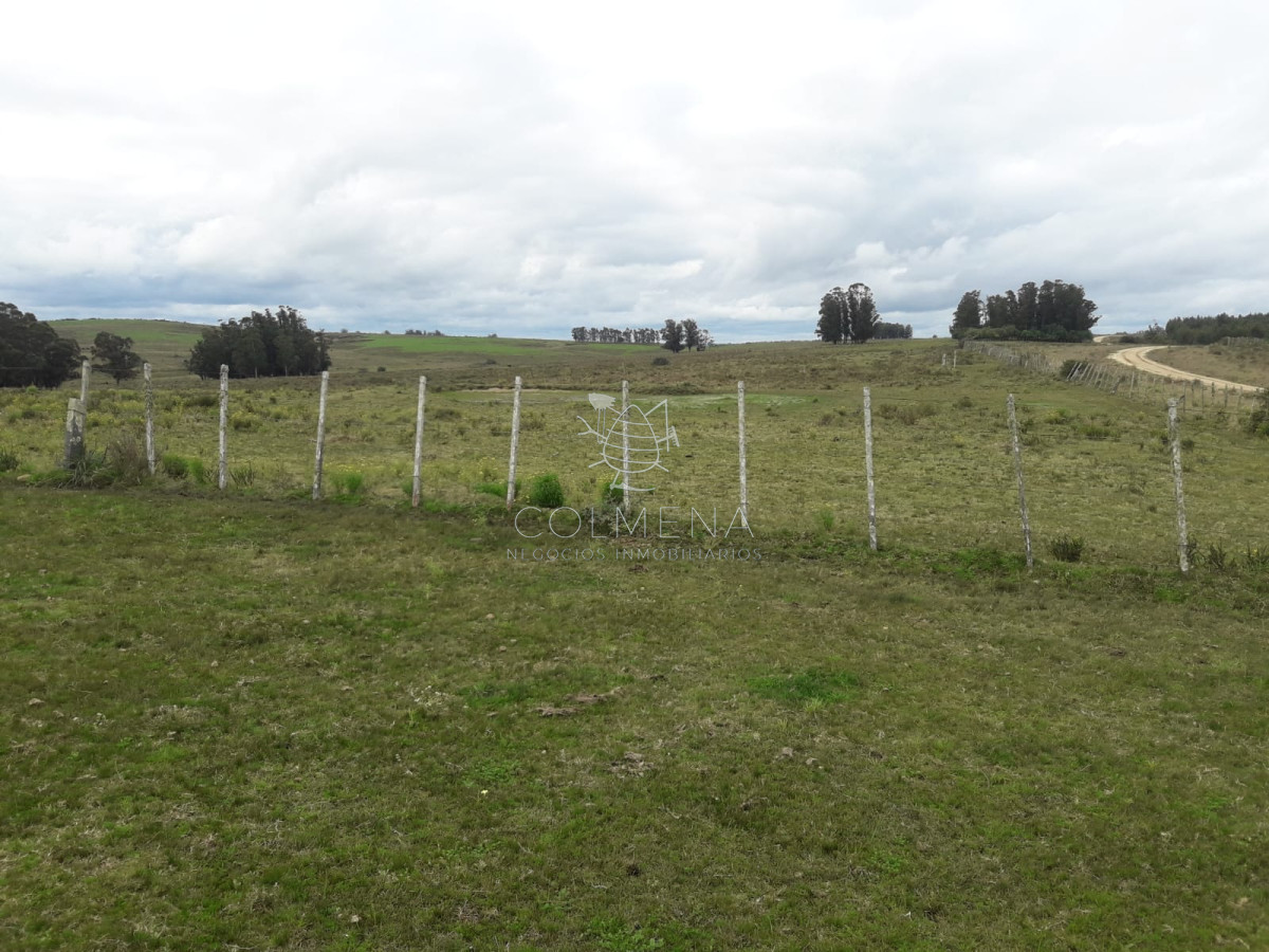 Campo de 21 has con 6010 m2 en paraje Jose Ignacio