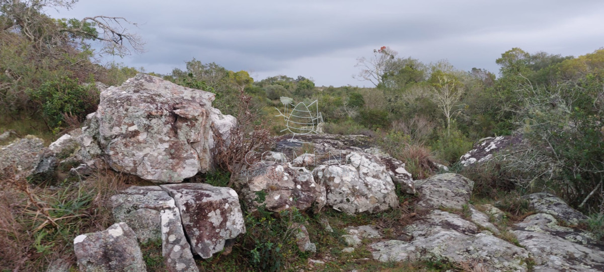 Campo en carape Son 42 hs 2293 m2 - GoPunta - Portal Inmobiliario de Punta del Este - Maldonado