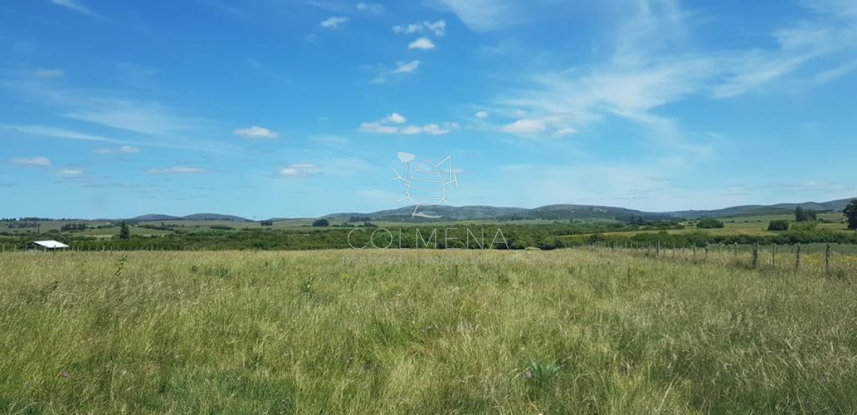Chacra en las cañas con casa y costa de arroyo. - COL1159P