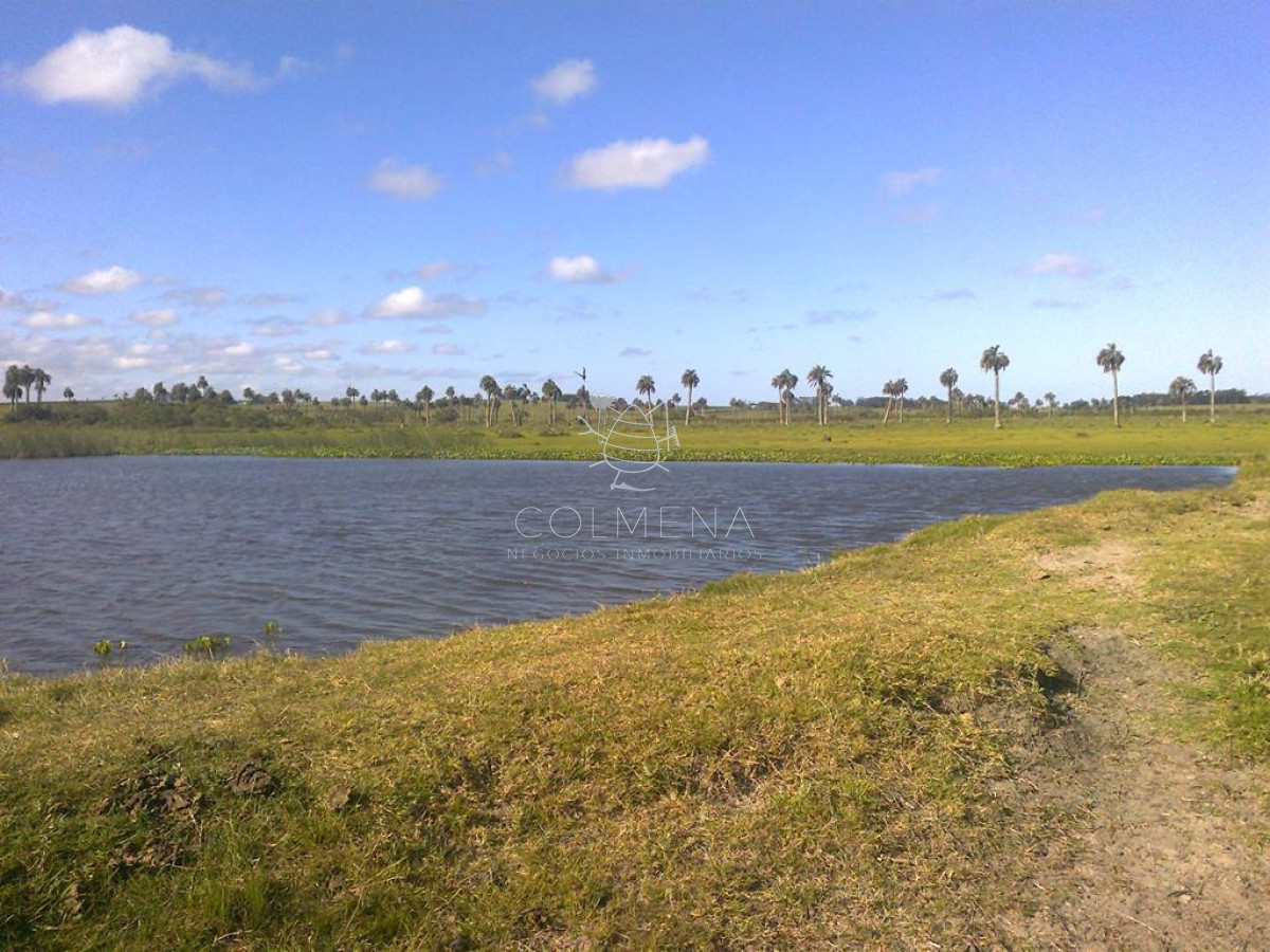 Campo en Paraje Aguas Dulces - GoPunta - Portal Inmobiliario de Punta del Este - Maldonado