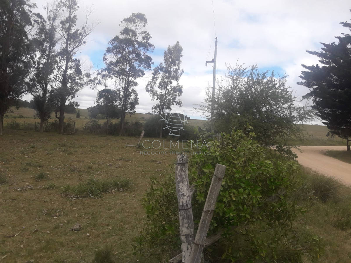 Campo de 12 has en Paraje José Ignacio. Consulte !!!!!