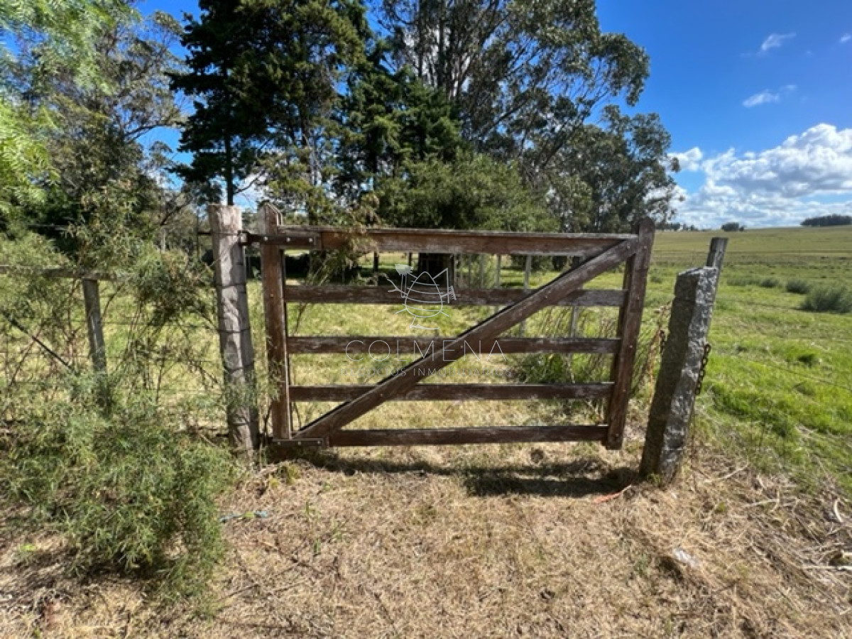 Campo 5 has con 2473 m2 sobre ruta 9 - GoPunta - Portal Inmobiliario de Punta del Este - Maldonado