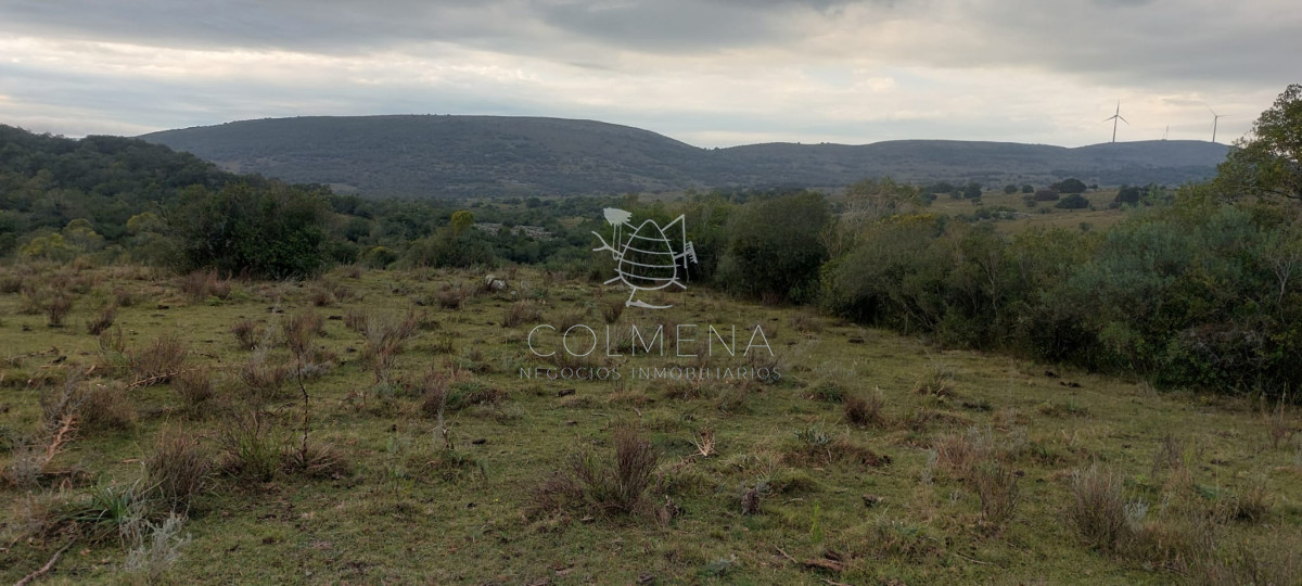 Campo en carape Son 42 hs 2293 m2 - GoPunta - Portal Inmobiliario de Punta del Este - Maldonado
