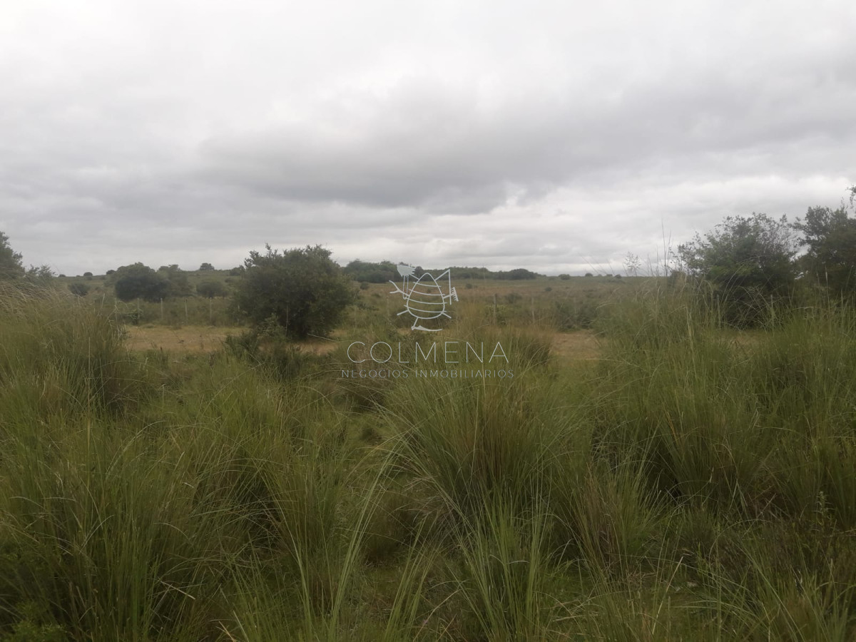 Campo en , - GoPunta - Portal Inmobiliario de Punta del Este - Maldonado