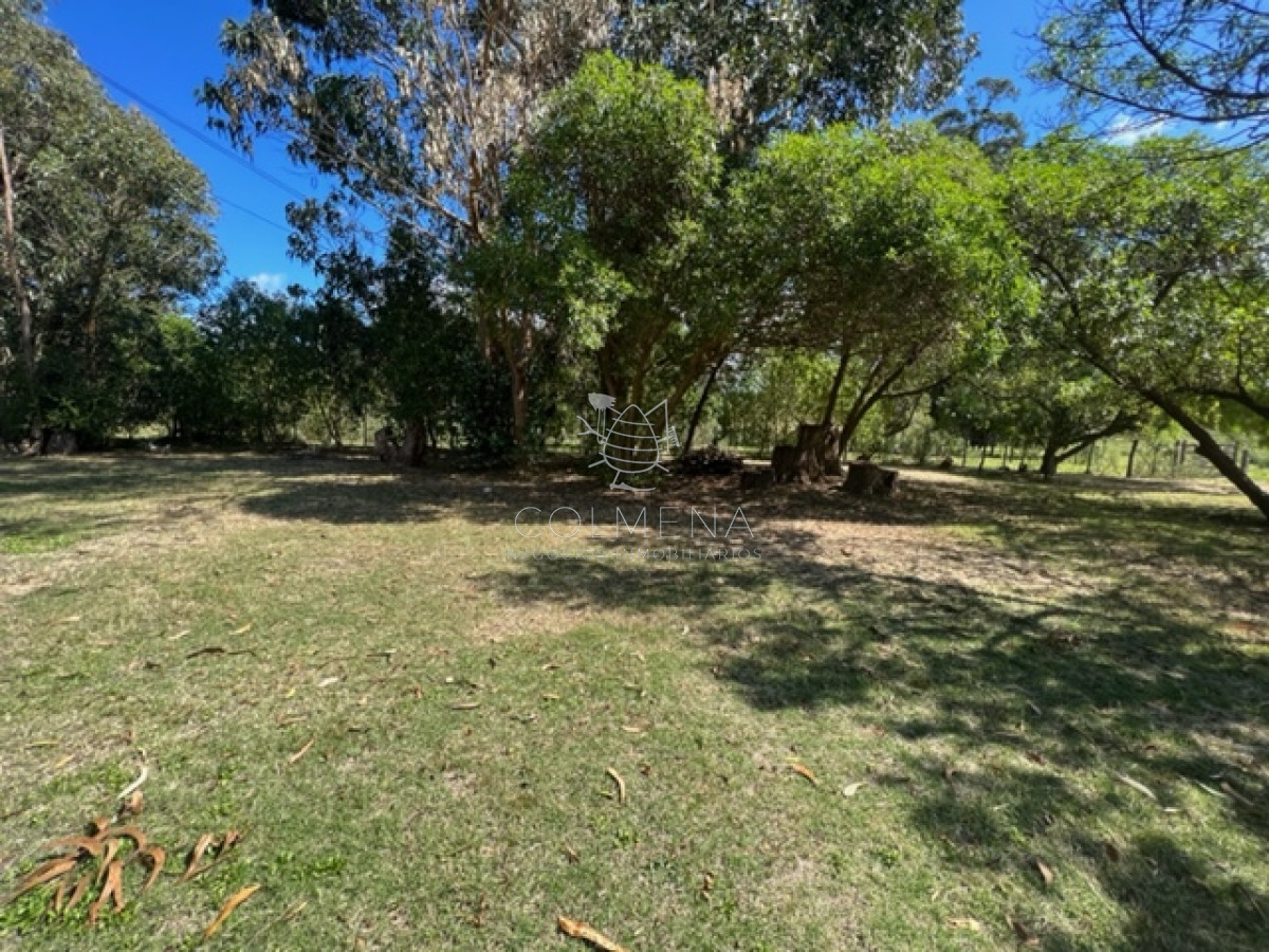 Campo 5 has con 2473 m2 sobre ruta 9 - GoPunta - Portal Inmobiliario de Punta del Este - Maldonado