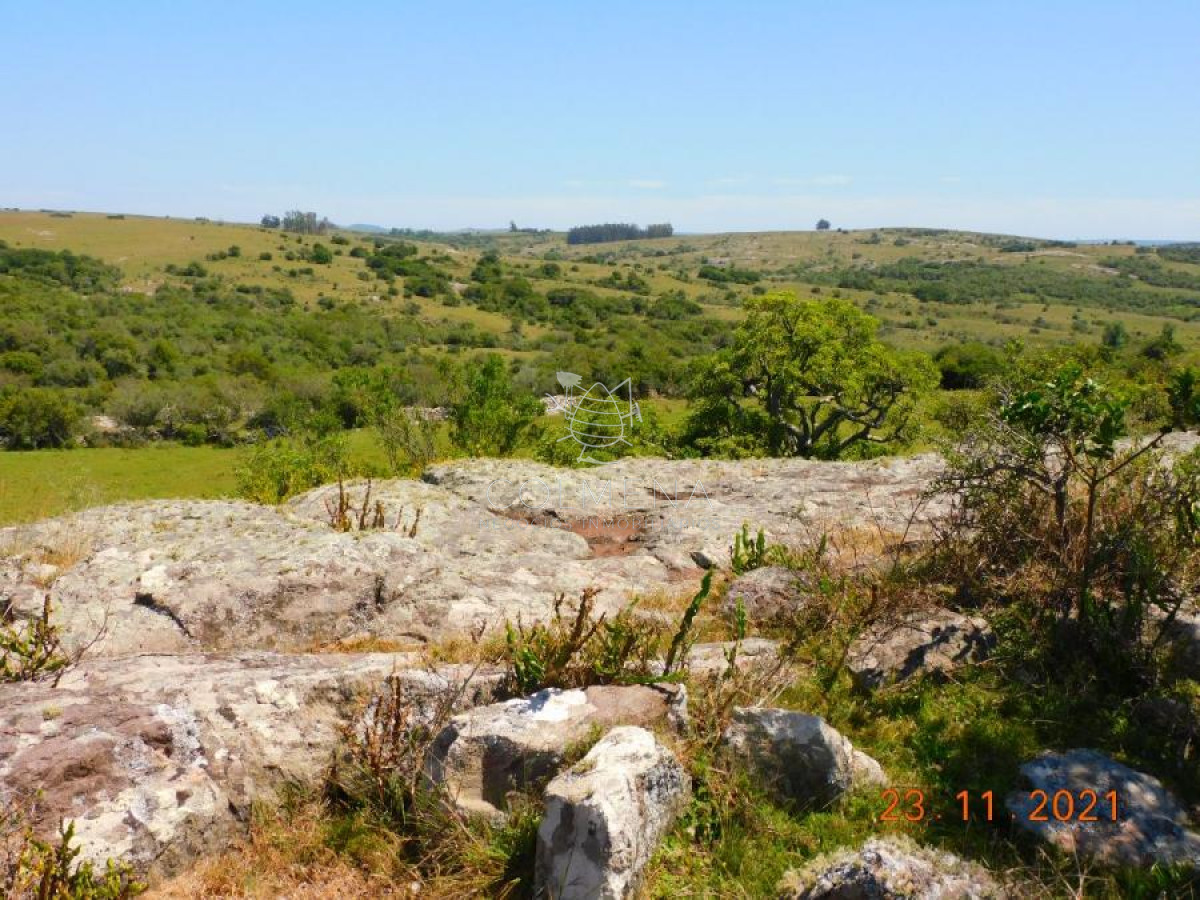Campo 27 has en los Caracoles - GoPunta - Portal Inmobiliario de Punta del Este - Maldonado