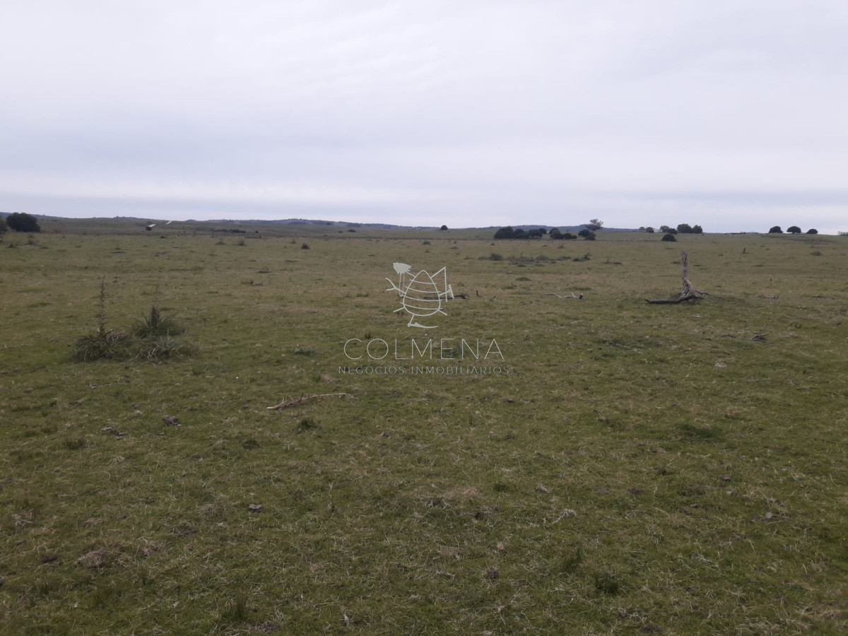 Campo a 5 km de pueblo Garzon   Coneat 106 - GoPunta - Portal Inmobiliario de Punta del Este - Maldonado