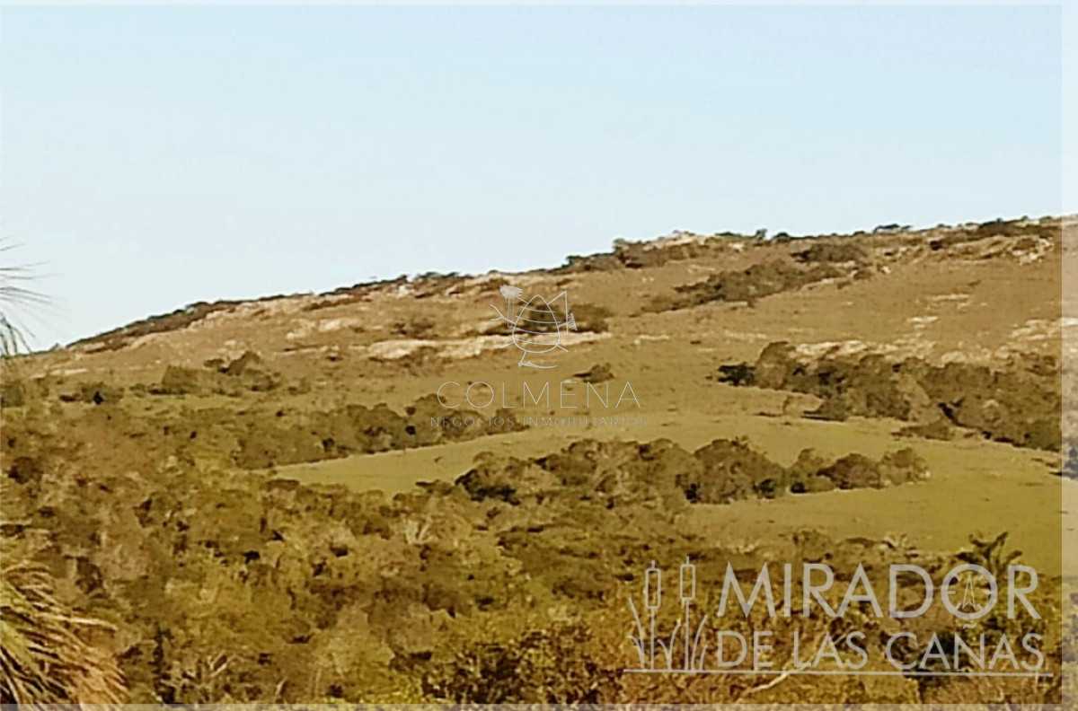 Chacras se financia 50    Mirador de las cañas   Consulte !!!!! - GoPunta - Portal Inmobiliario de Punta del Este - Maldonado