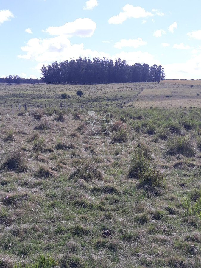 Campo 18 has en las Cañas   Consulte!!!!!! - GoPunta - Portal Inmobiliario de Punta del Este - Maldonado
