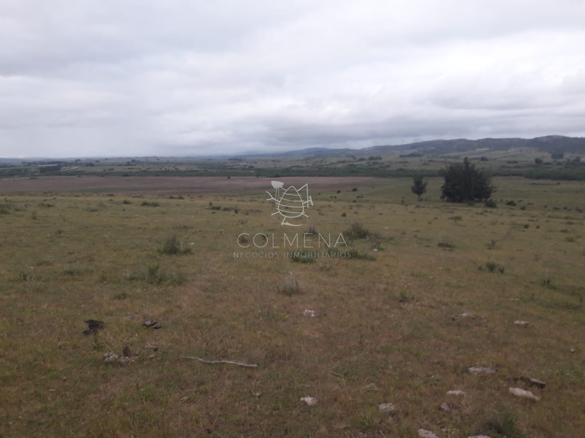Campo de 47 has en Paraje los Caracoles   Consulte !!!!! - GoPunta - Portal Inmobiliario de Punta del Este - Maldonado