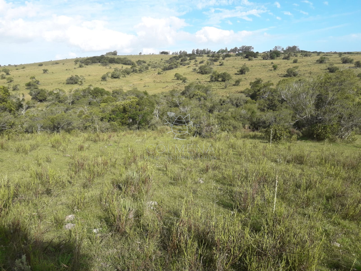Campo cerca de Pueblo Eden   Consulte !!!!!!! - GoPunta - Portal Inmobiliario de Punta del Este - Maldonado