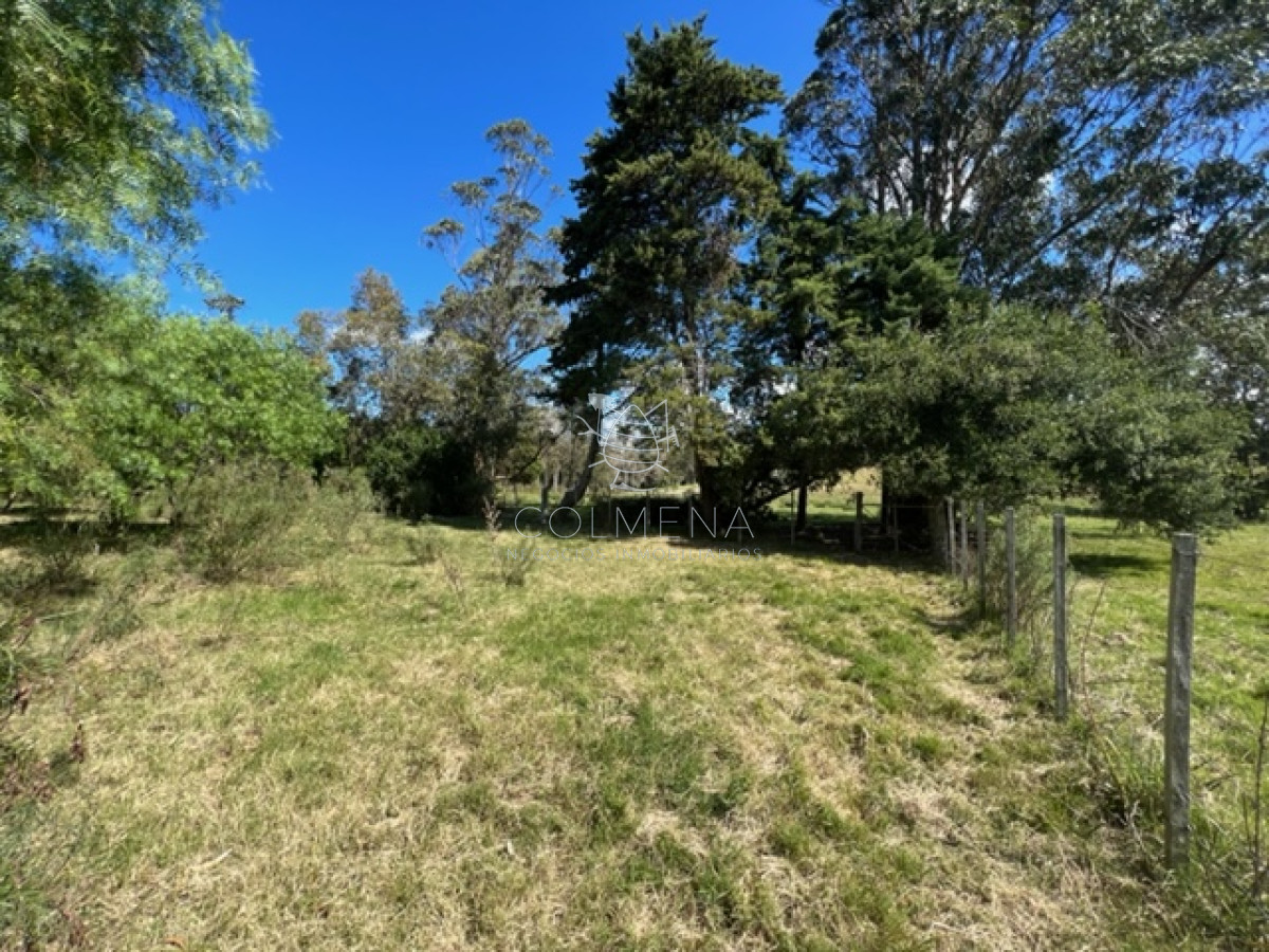Campo 5 has con 2473 m2 sobre ruta 9