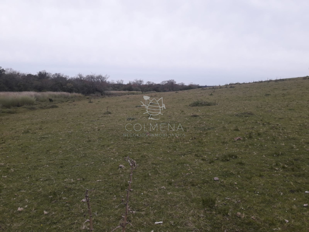 Campo a 5 km de pueblo Garzon   Coneat 106 - GoPunta - Portal Inmobiliario de Punta del Este - Maldonado