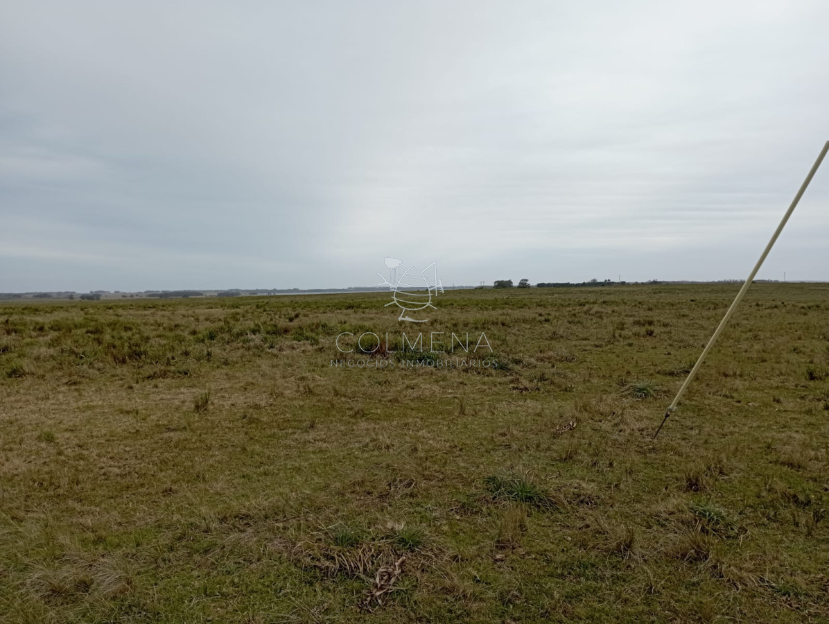 Campo de en Garzon entre limite de Maldonado y Rocha - GoPunta - Portal Inmobiliario de Punta del Este - Maldonado