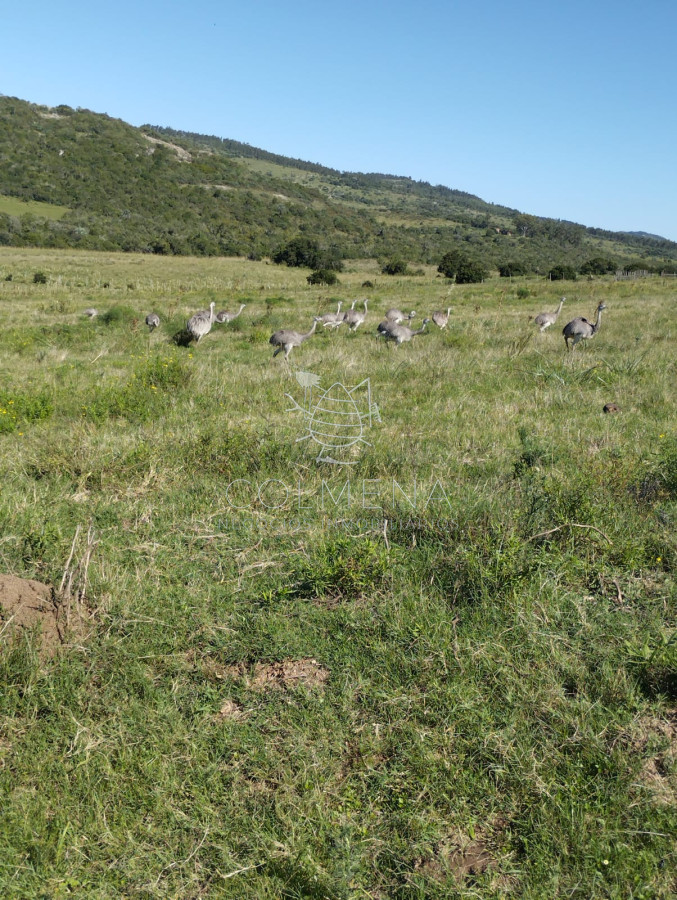 Se vende chacras en un lugar con vistas a las Sierras cerca de aigua - Hay Financiación 