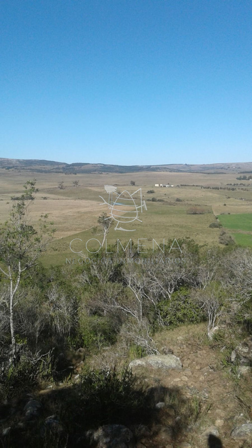 Campo en Lavalleja   79 has con 8432 m2   Turistico ganadero - GoPunta - Portal Inmobiliario de Punta del Este - Maldonado