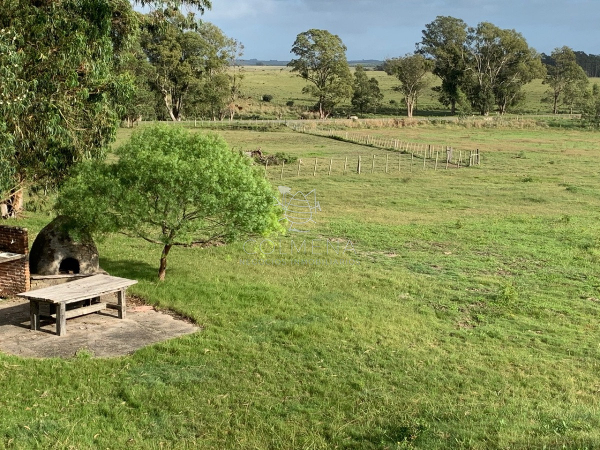 Campo excelente ubicacción,  ideal plantar o para fraccionamiento. - GoPunta - Portal Inmobiliario de Punta del Este - Maldonado