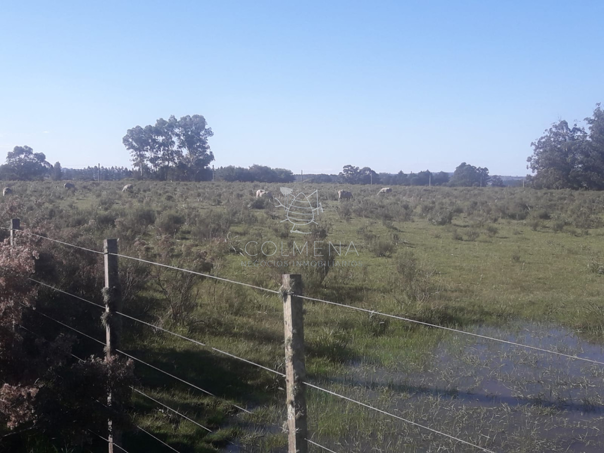 Campo cerca de Pueblo Eden   Consulte!!!!! - GoPunta - Portal Inmobiliario de Punta del Este - Maldonado