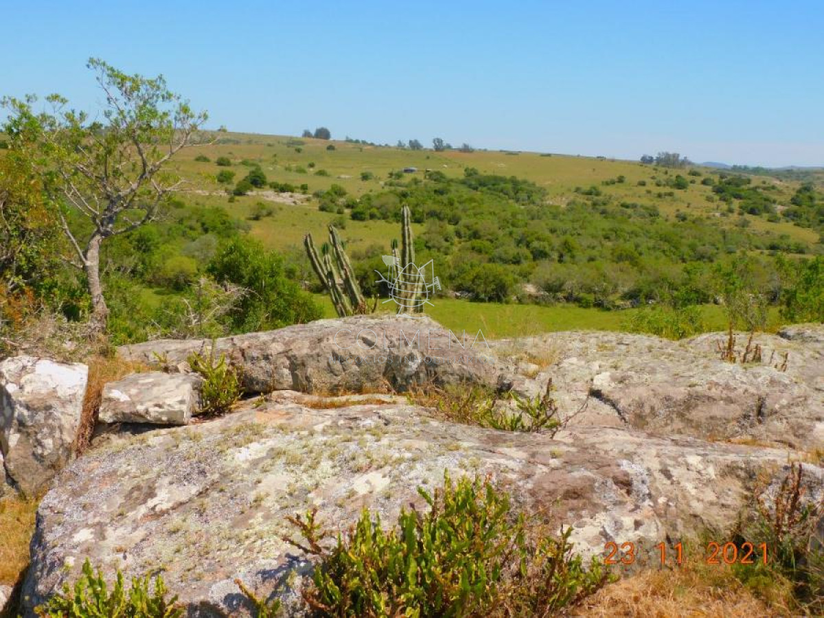 Campo 27 has en los Caracoles - GoPunta - Portal Inmobiliario de Punta del Este - Maldonado