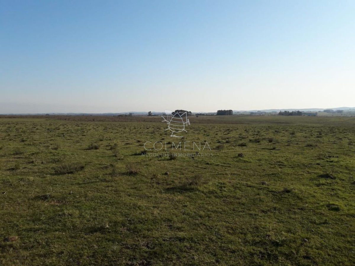 Campo de 66 has con 1991 m2   En Corte la Leña   Consulte!!! - GoPunta - Portal Inmobiliario de Punta del Este - Maldonado