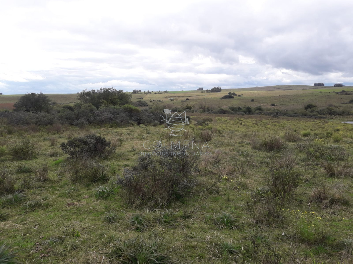 Campo de 21 has con 6010 m2 en paraje Jose Ignacio - GoPunta - Portal Inmobiliario de Punta del Este - Maldonado