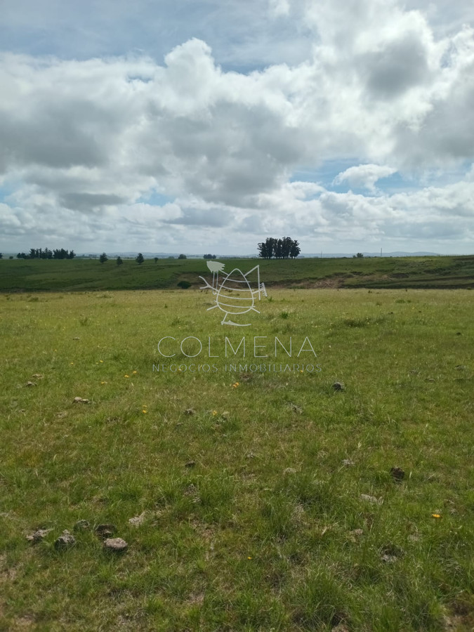 Campo en Corte la Leña la luz pasa por frente al campo y aljibe con agua permanente.