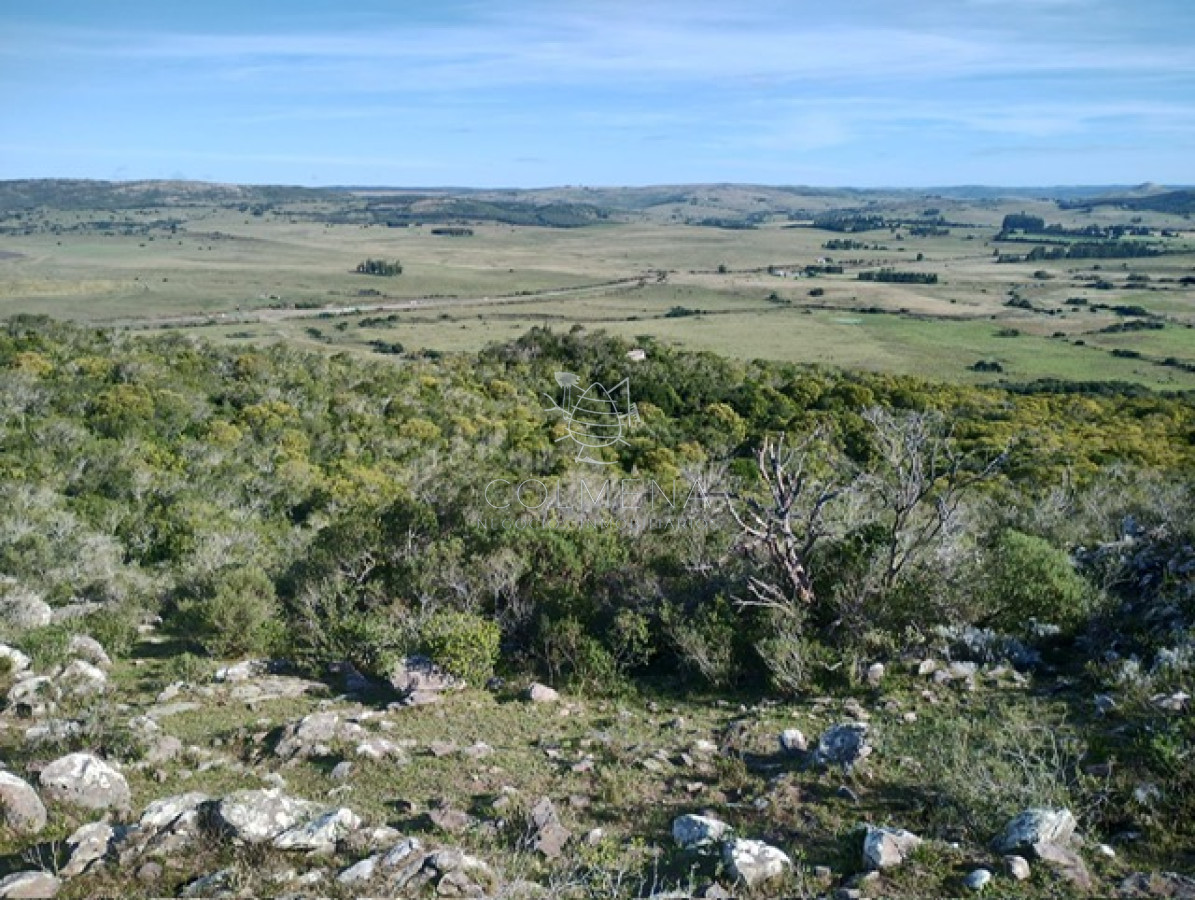 Campo en Lavalleja   79 has con 8432 m2   Turistico ganadero - GoPunta - Portal Inmobiliario de Punta del Este - Maldonado