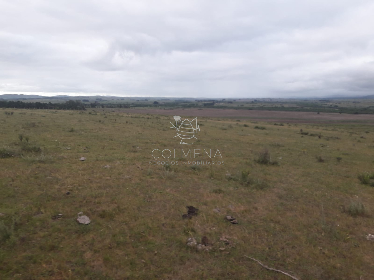 Campo de 47 has en Paraje los Caracoles   Consulte !!!!! - GoPunta - Portal Inmobiliario de Punta del Este - Maldonado